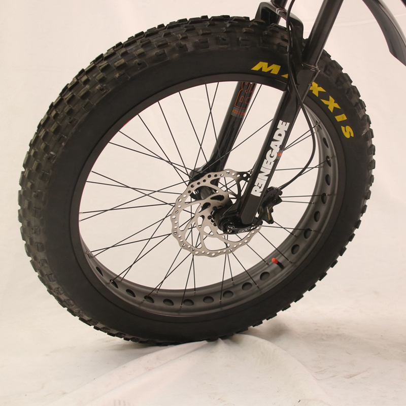 2020 Bafang M620 Motor Mid Drive Fat Tire Electric Mountain Bike /eMTB with Hard Tail 